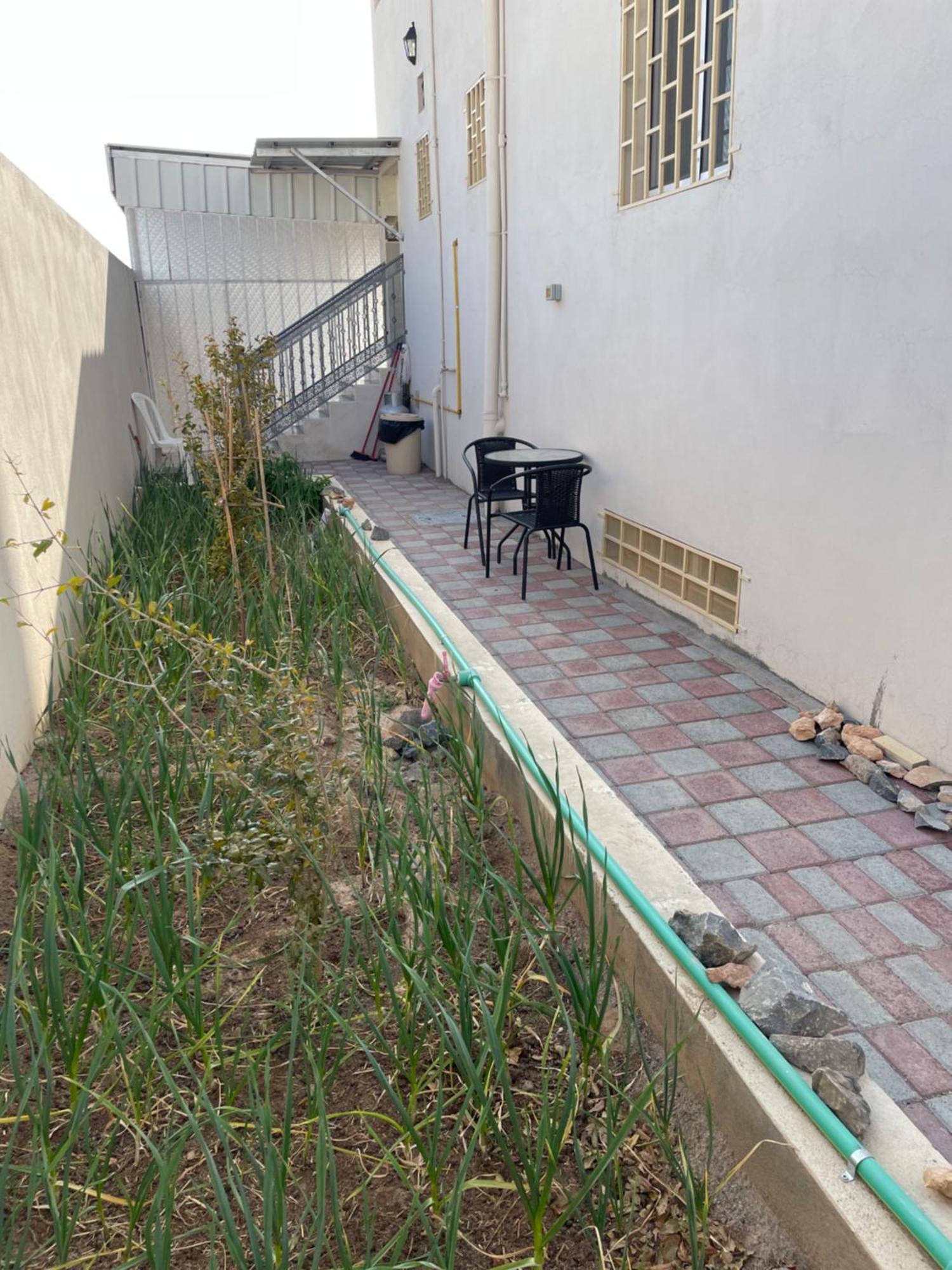 Apartment In Bayt Al Jabal شقة في بيت الجبل Sayq Екстер'єр фото